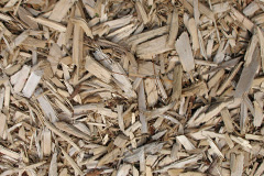 biomass boilers Lumphanan